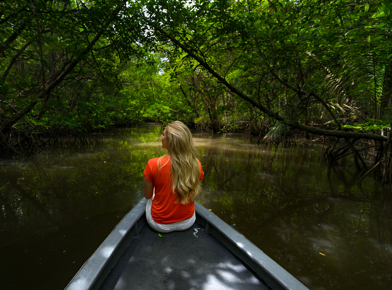 Journey through the thick mangroves.