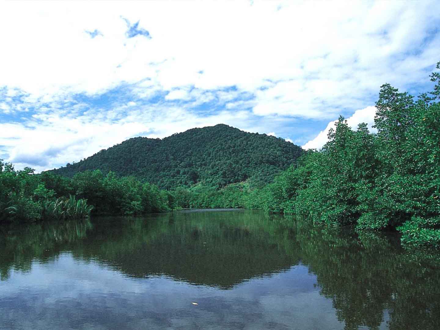 Gunung Bintan, the highest peak in Bintan, to experience a breathtaking 360-degree view of the island!