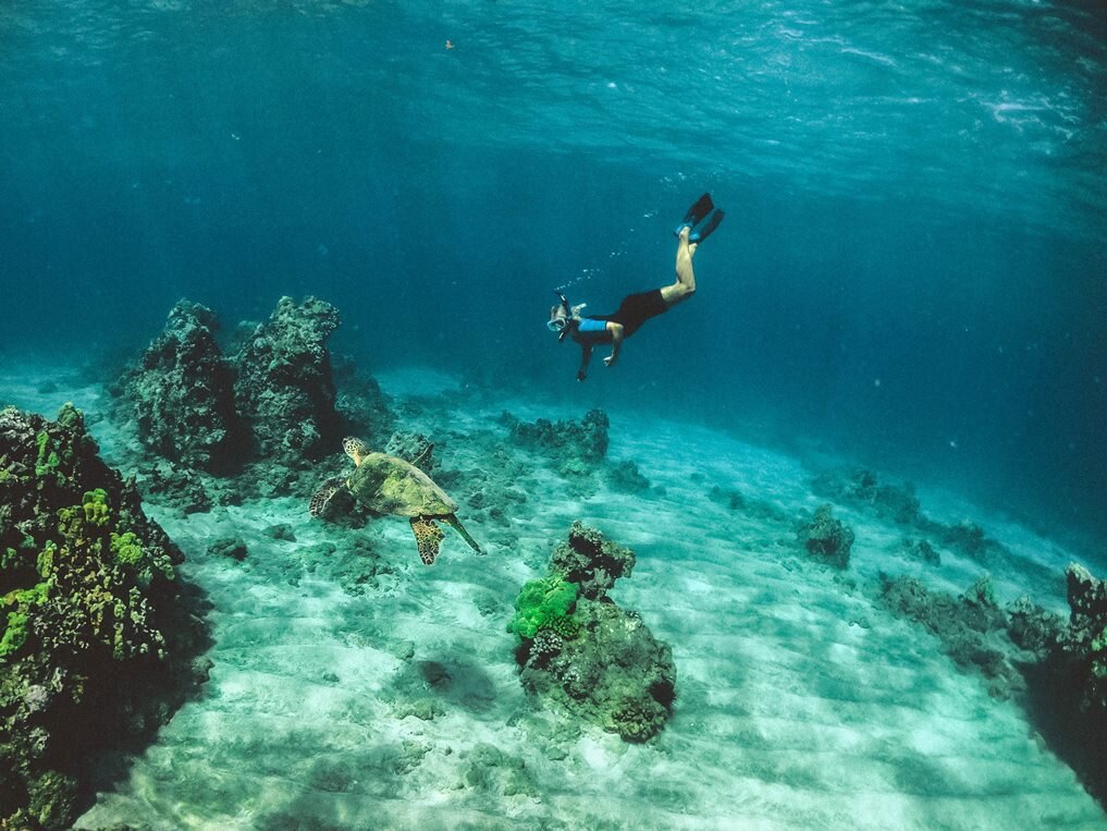 Snorkeling is an adventurous way to see the island's aquatic life up close.