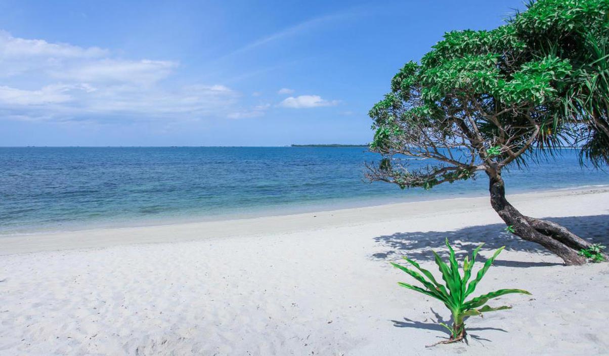 Bintan Island is known for its white sandy beaches and clear ocean waters.
