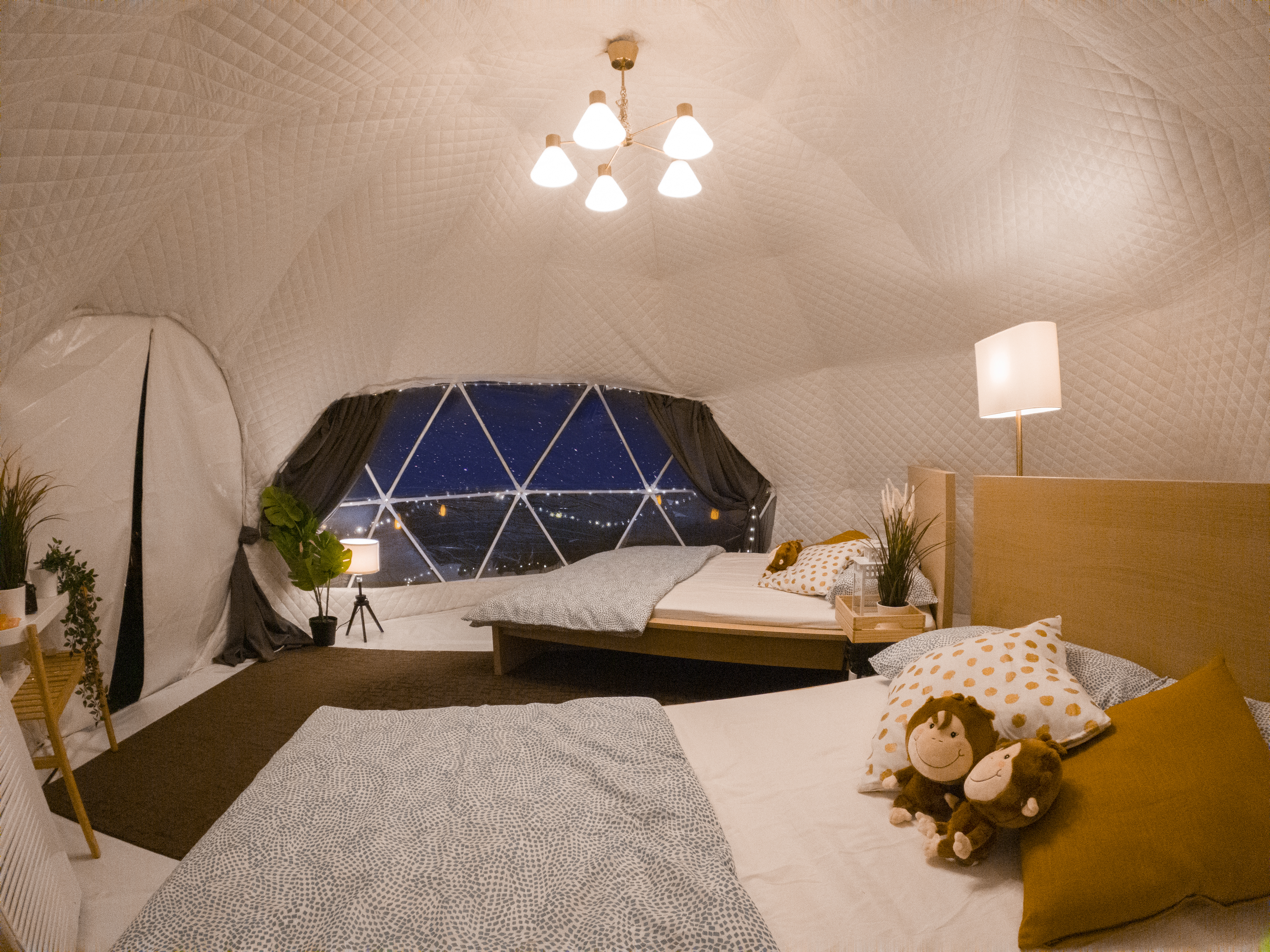 Singapore Zoo Glamping - Tent interior