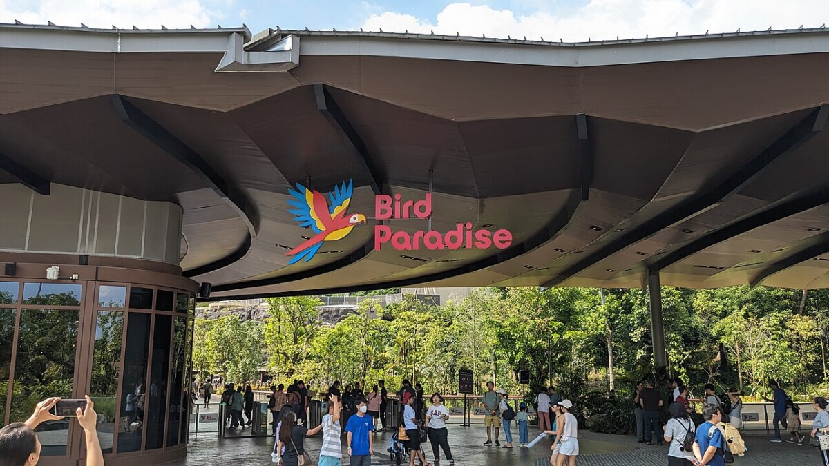Discover the wild side of singapore at asia's largest bird paradise!