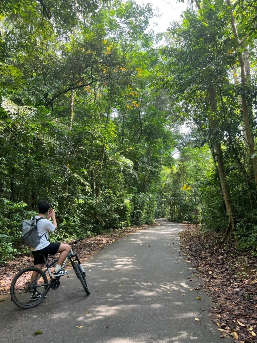  Cycling adventures await on Pulau Ubin's rustic trails.