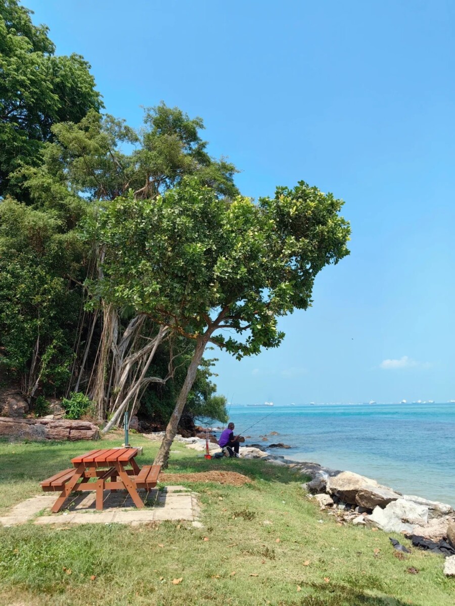 Escape to natural bliss: Singapore's island getaways await!