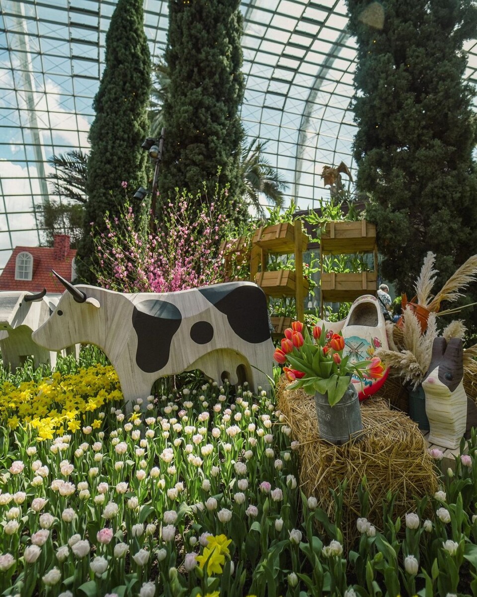 Experience the magic of Tulipmania – it's bloomin' fantastic!