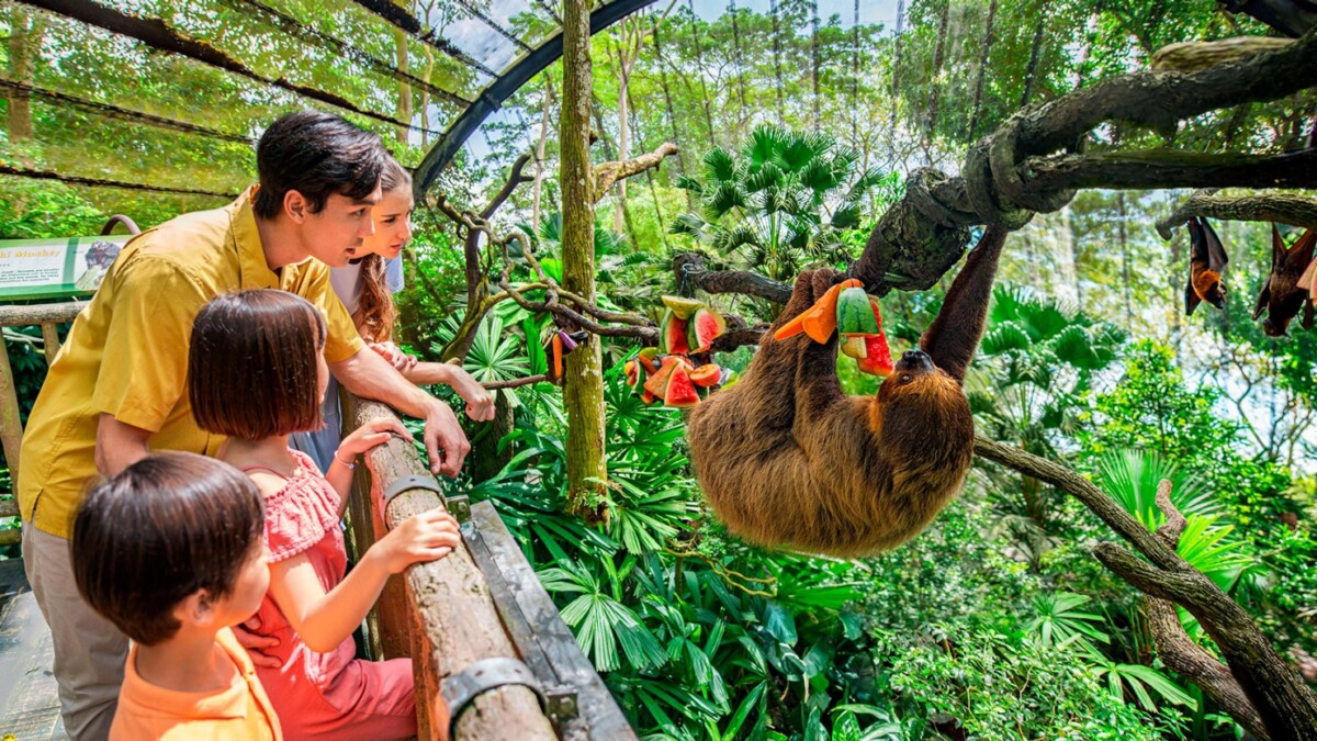 Go Beyond the Zoo! Immerse yourself in nature at Singapore's upcoming Rainforest Wild.