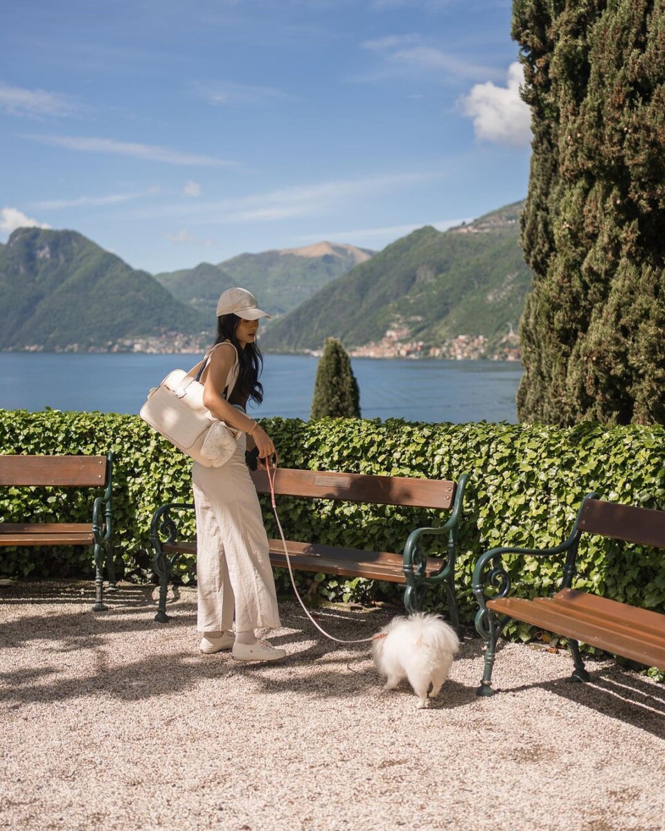 This travel vlog is gonna be PAWsome! 