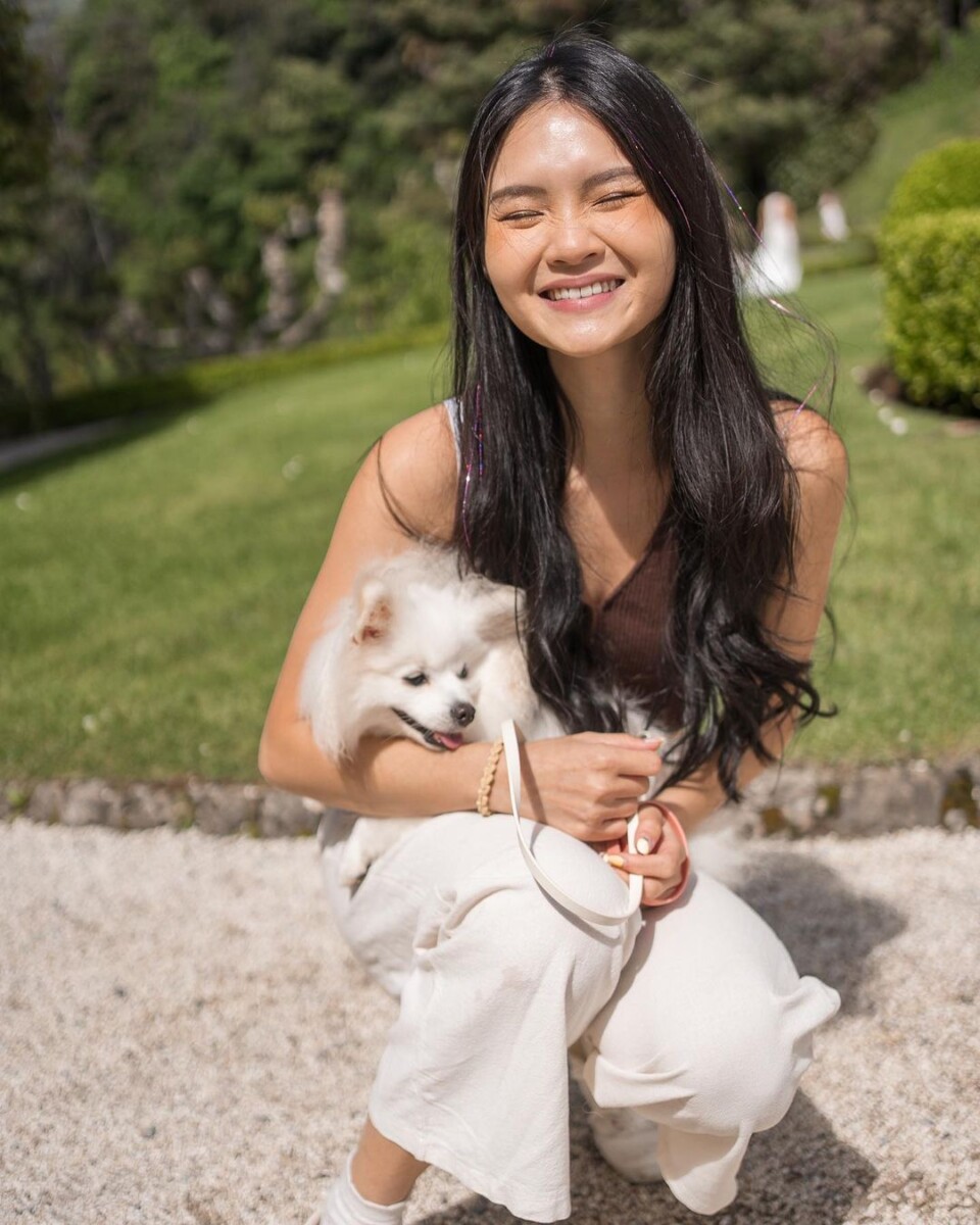 Switzerland or bust with this pampered pup! Who says pets can't travel first class? 