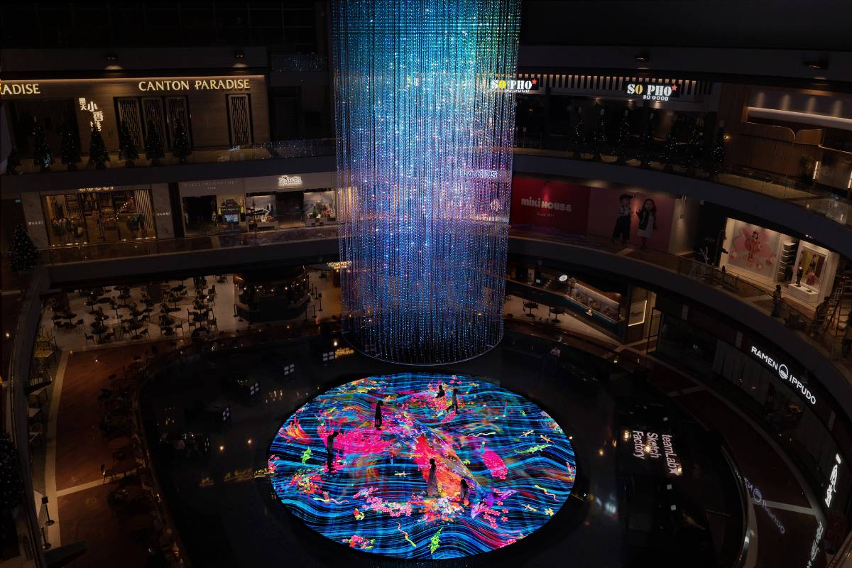 Don't miss the incredible Digital Light Canvas