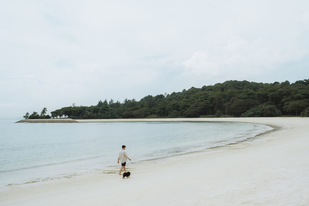 Luxury meets nature: Beachfront glamping awaits at Into The Woods.