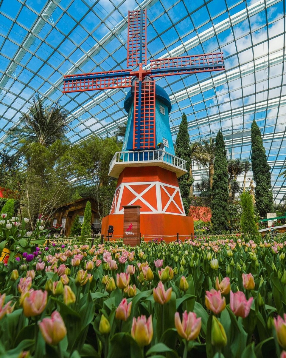 Step into a tulip wonderland at Tulipmania!