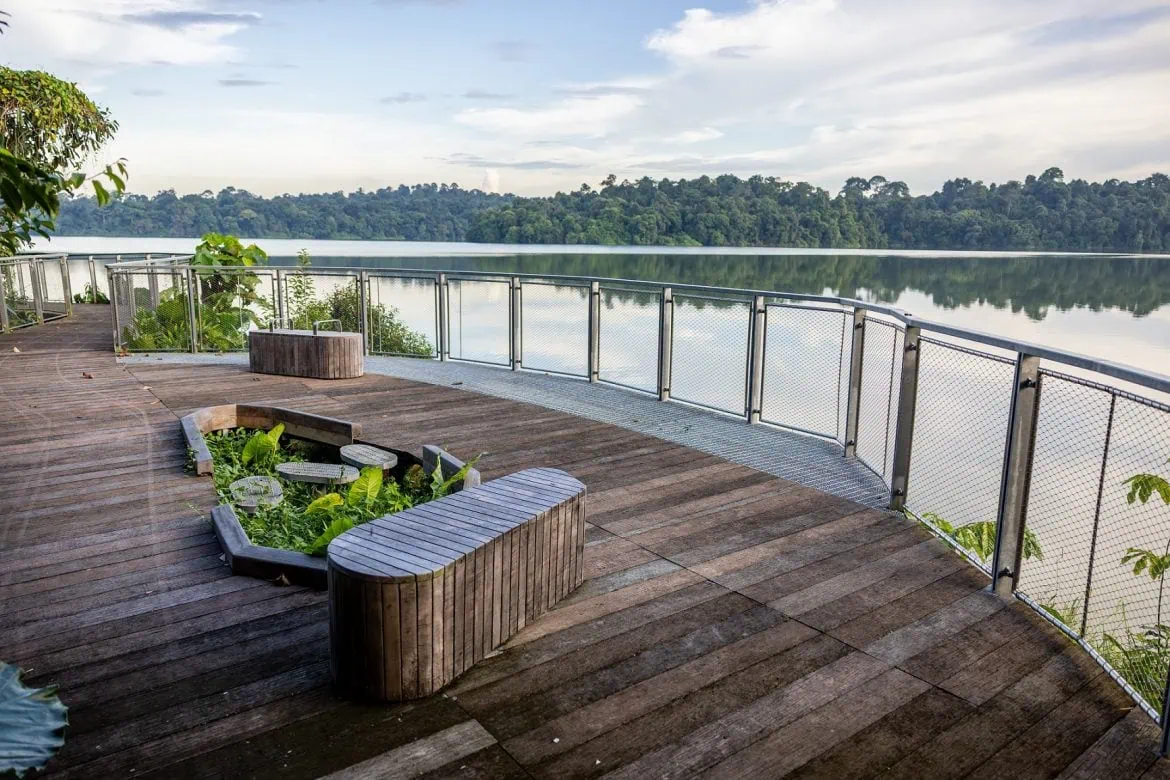 Wake up to rainforest views in 2025!